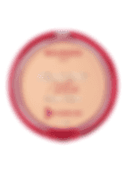 Bourjois Healthy Mix Powder Anti-Fatigue 02 Golden Ivory