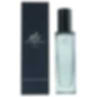 BURBERRY MR BURBERRY INDIGO EDT 30ML