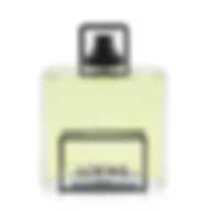 LOEWE SOLO LOEWE ESENCIAL (M) EDT 100 ml ES