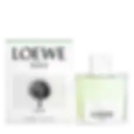 LOEWE SOLO ORIGAMI (M) EDT 100ML