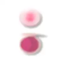 Sheglam Cheek 2 Cheek Blush Duo-pitaya Fruit