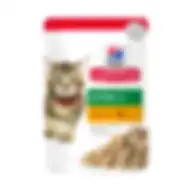 Hill's Science Plan Tender Chunks In Gravy Kitten With Chicken Wet Cat Food 85g