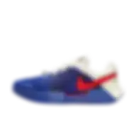 Nike Gp Challenge 1 Premium Men's Hard Court Tennis Shoes Hj6769-500 Size 41