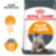 Royal Canin Feline Care Nutrition Hair & Skin 4 Kg