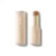 Sheglam Skin Magnet High Coverage Foundation Stick-mahogany