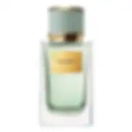 Dolce & Gabbana Velvet Infusion Eau De Parfum For Unisex 100ml