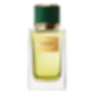 Dolce & Gabbana Velvet Vetiver Eau De Parfum For Unisex 100ml