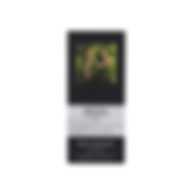 MAISON MARGIELA REPLICA SOUL OF THE FOREST EDP 100ML