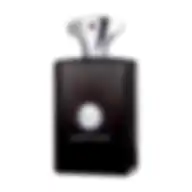 AMOUAGE MEMOIR FOR MAN (M) EDP 100 ml OM