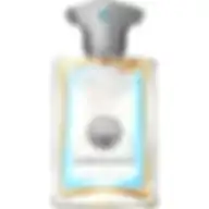 AMOUAGE PORTRAYAL FOR MAN (M) EDP 50 ml OM