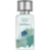 SALVATORE FERRAGAMO GIUNGLE DI SETA (U) EDP 50 ml IT