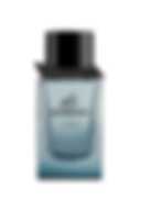 BURBERRY MR BURBERRY ELEMENT (M) EDT 150ML
