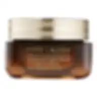Estée Lauder Advanced Night Repair Overnight Treatment 65ml