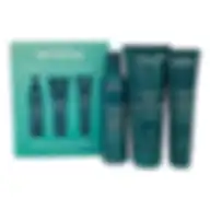 Aveda Botanical Repair Strengthening Essentials Damaged Hair Set