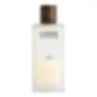 Loewe Un Paseo Por Madrid Doré Eau De Parfum For Unisex 100ml